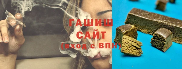 прущие грибы Бородино