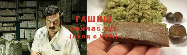 прущие грибы Бородино