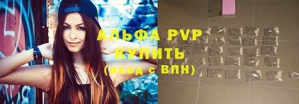 прущие грибы Бородино