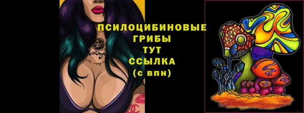 прущие грибы Бородино