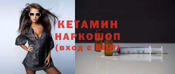 прущие грибы Бородино