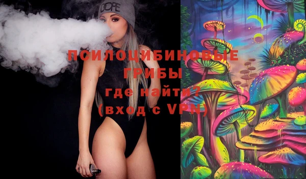 прущие грибы Бородино