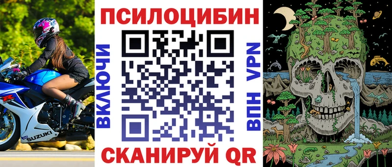 Псилоцибиновые грибы Cubensis Новосиль
