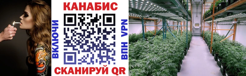Канабис планчик  Новосиль 